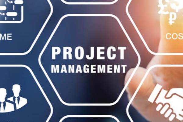 Project management graphic